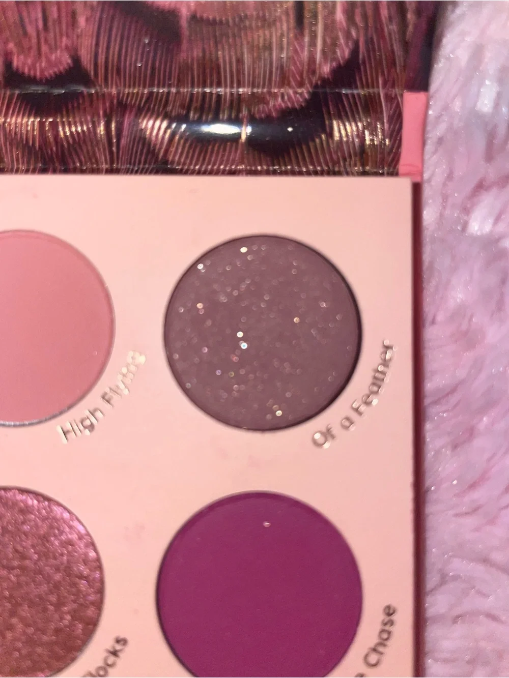Colourpop spread your